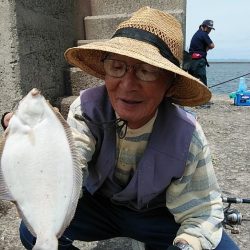 残り餌の消費で播磨新島へ