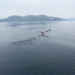 マイボートでタイラバ釣行