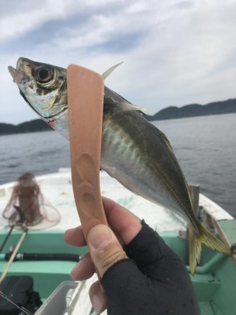 宝来丸さんでアジ