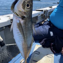 夢丸 釣果