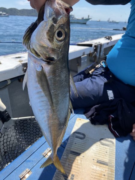 夢丸 釣果