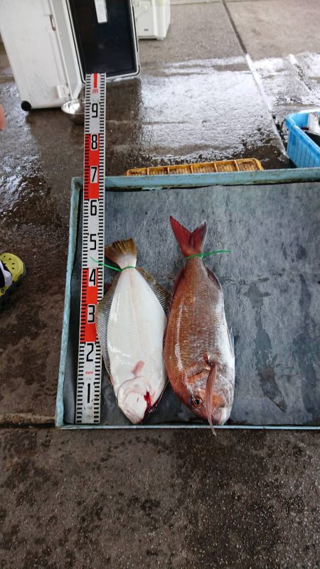 明神釣船 釣果