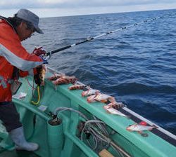 恵陽丸 釣果