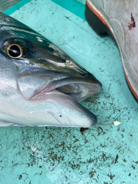 和栄丸 釣果