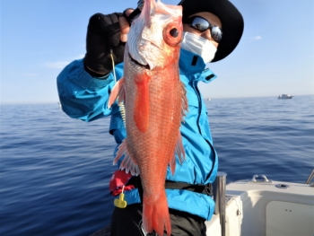 鯛紅丸 釣果