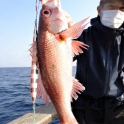 鯛紅丸 釣果