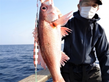 鯛紅丸 釣果