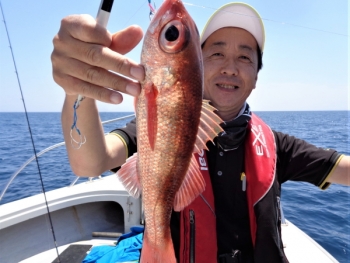 鯛紅丸 釣果