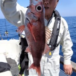 鯛紅丸 釣果