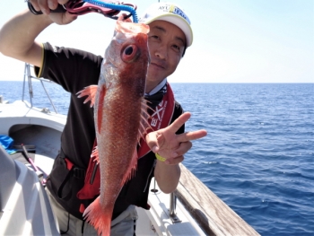 鯛紅丸 釣果