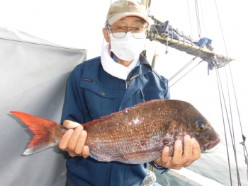 鯛紅丸 釣果