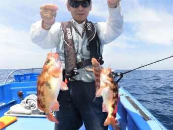 鯛紅丸 釣果