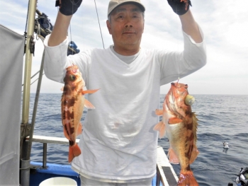 鯛紅丸 釣果