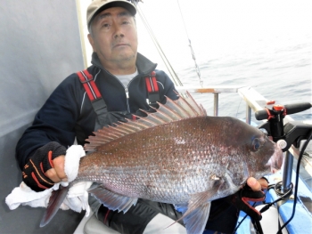 鯛紅丸 釣果