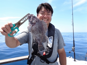 鯛紅丸 釣果