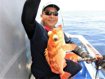 鯛紅丸 釣果