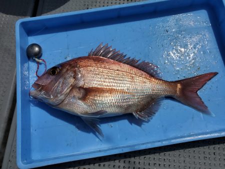 珀宝丸 釣果