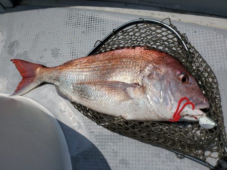 珀宝丸 釣果