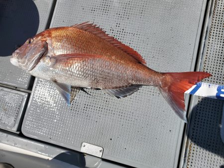 珀宝丸 釣果