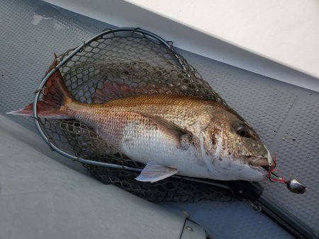 珀宝丸 釣果