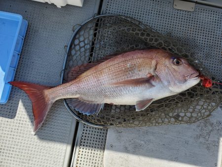 珀宝丸 釣果