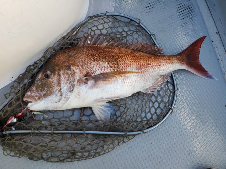 珀宝丸 釣果