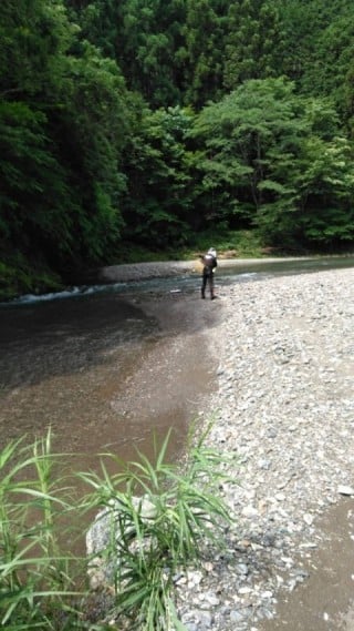 大井川（大井川(非)漁業協同組合） 釣果