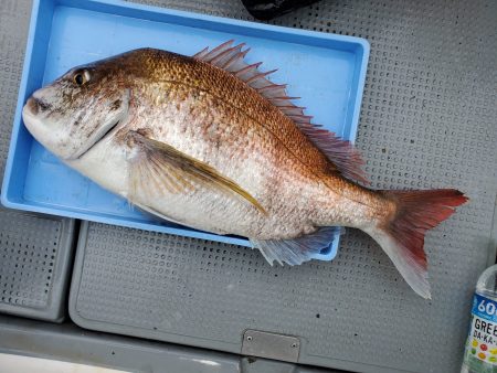 珀宝丸 釣果