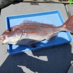 珀宝丸 釣果