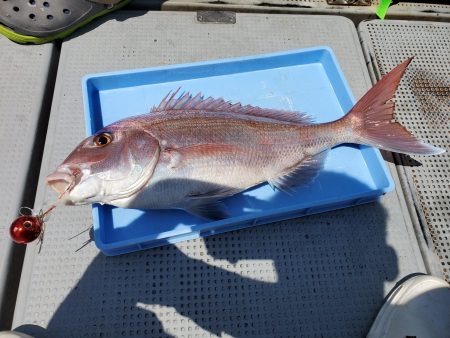 珀宝丸 釣果