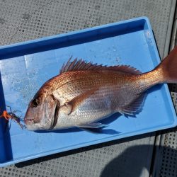 珀宝丸 釣果