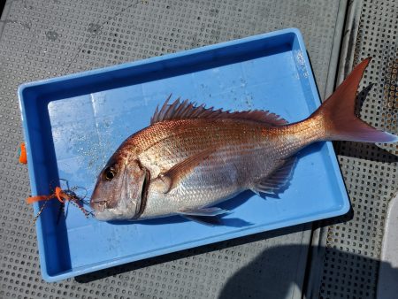 珀宝丸 釣果