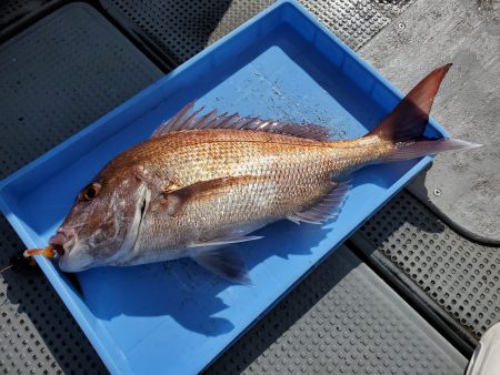 珀宝丸 釣果