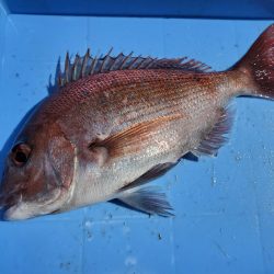 珀宝丸 釣果