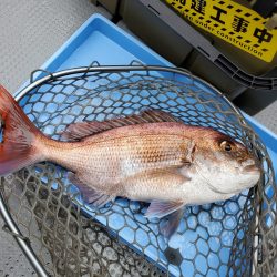 珀宝丸 釣果