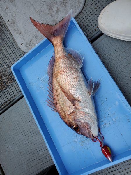 珀宝丸 釣果