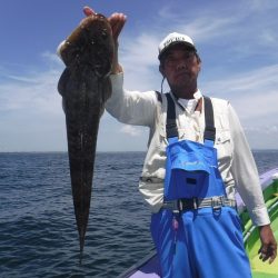 川崎丸 釣果