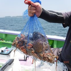 川崎丸 釣果