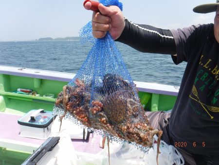 川崎丸 釣果