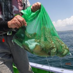 川崎丸 釣果