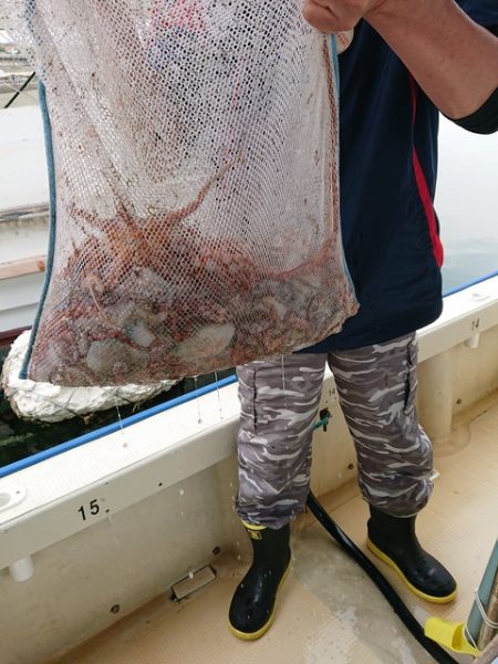 たかみ丸 釣果