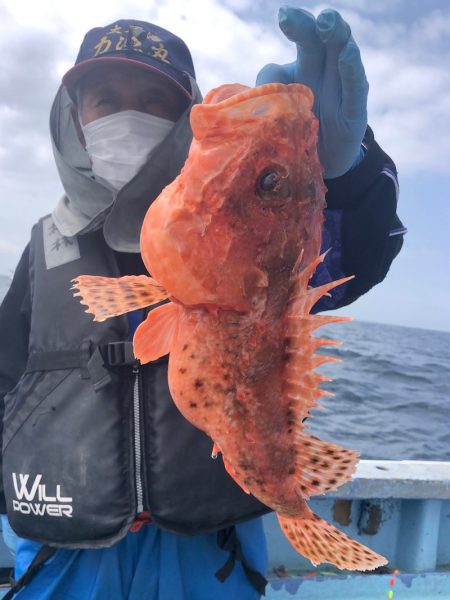 力漁丸 釣果