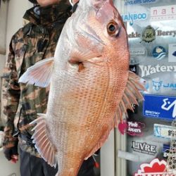 遊漁船　ニライカナイ 釣果