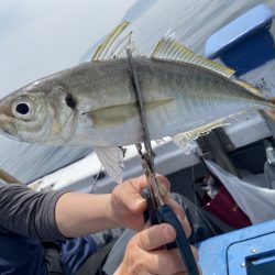 夢丸 釣果