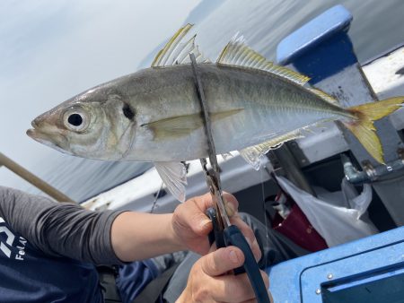 夢丸 釣果