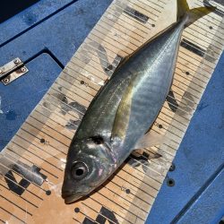 夢丸 釣果