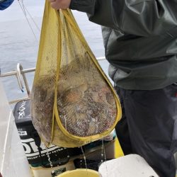 たかみ丸 釣果