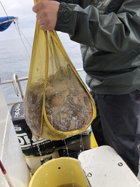 たかみ丸 釣果