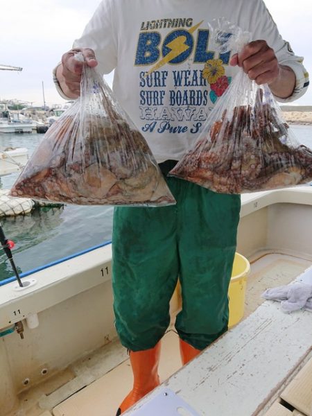 たかみ丸 釣果