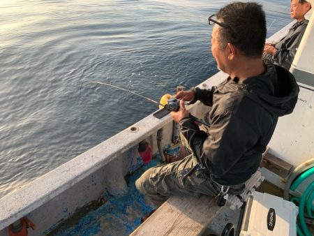 幸吉丸 釣果